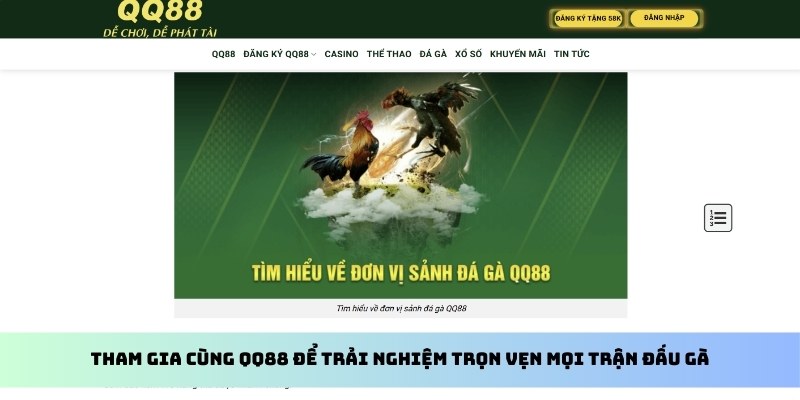 Đá Gà Thomo - Tìm Hiểu Toàn Bộ Về Hình Thức Cược Cùng QQ88 4 Tham gia cùng QQ88 để trải nghiệm trọn vẹn mọi trận đấu gà